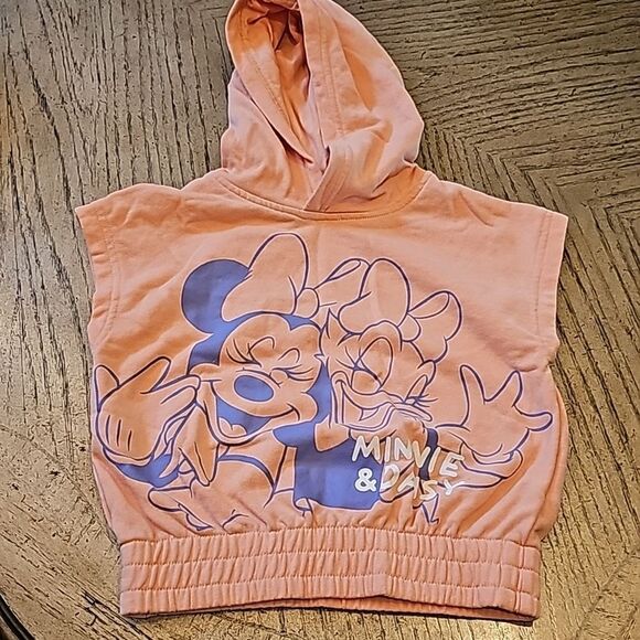 Girl Minnie and Daisy's sleeveless Hooded sweater size 3/4T H&M - Picture 8 of 8